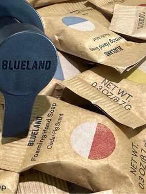 BlueLand Foaming Hand Soap Tablets and Pump